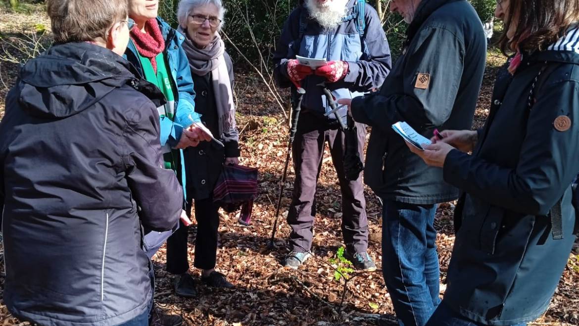 Marche méditative de Carême